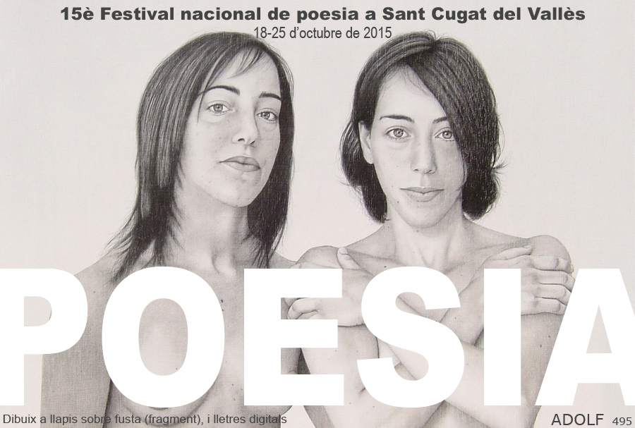 Festival de Poesia