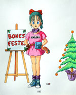 Bulma bones festes