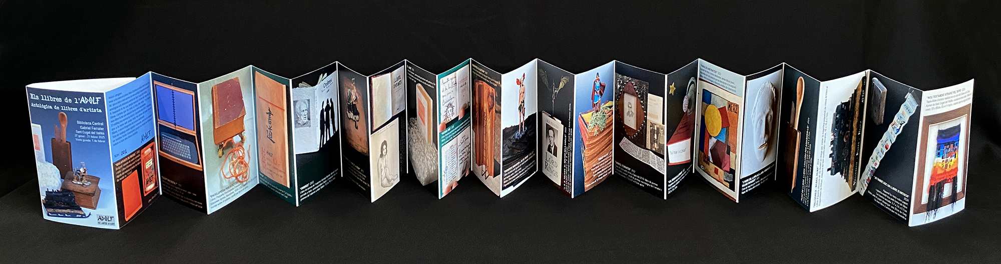 Catāleg de Els llibres de l'Adolf
