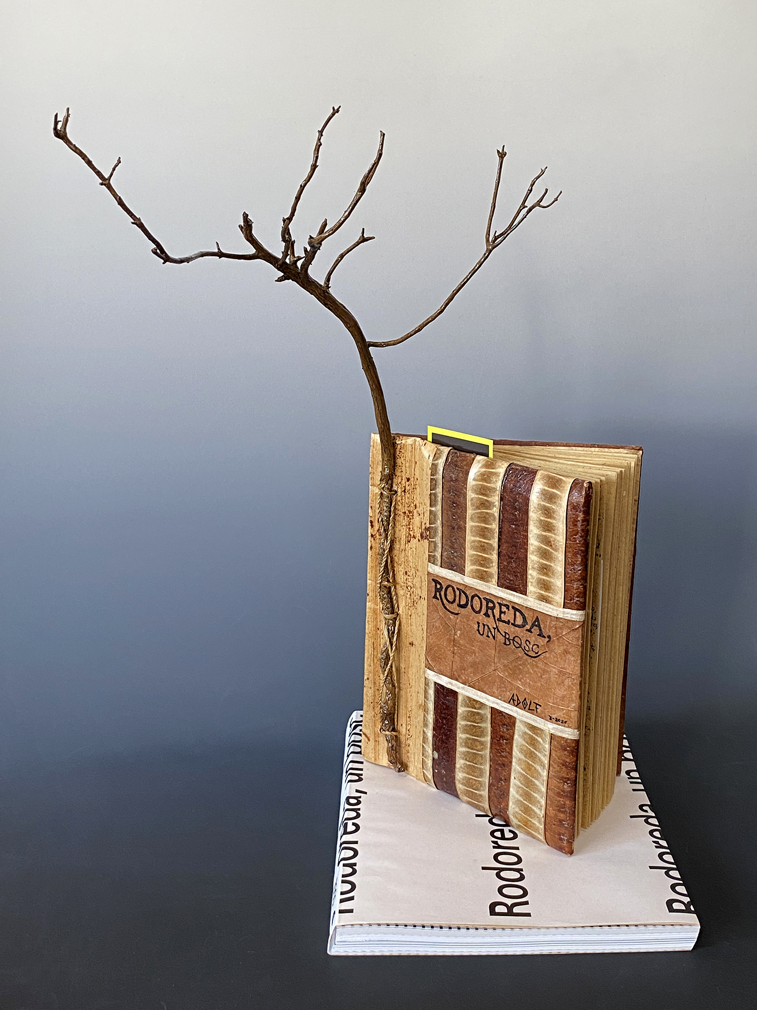 merc� rodoreda al cccb