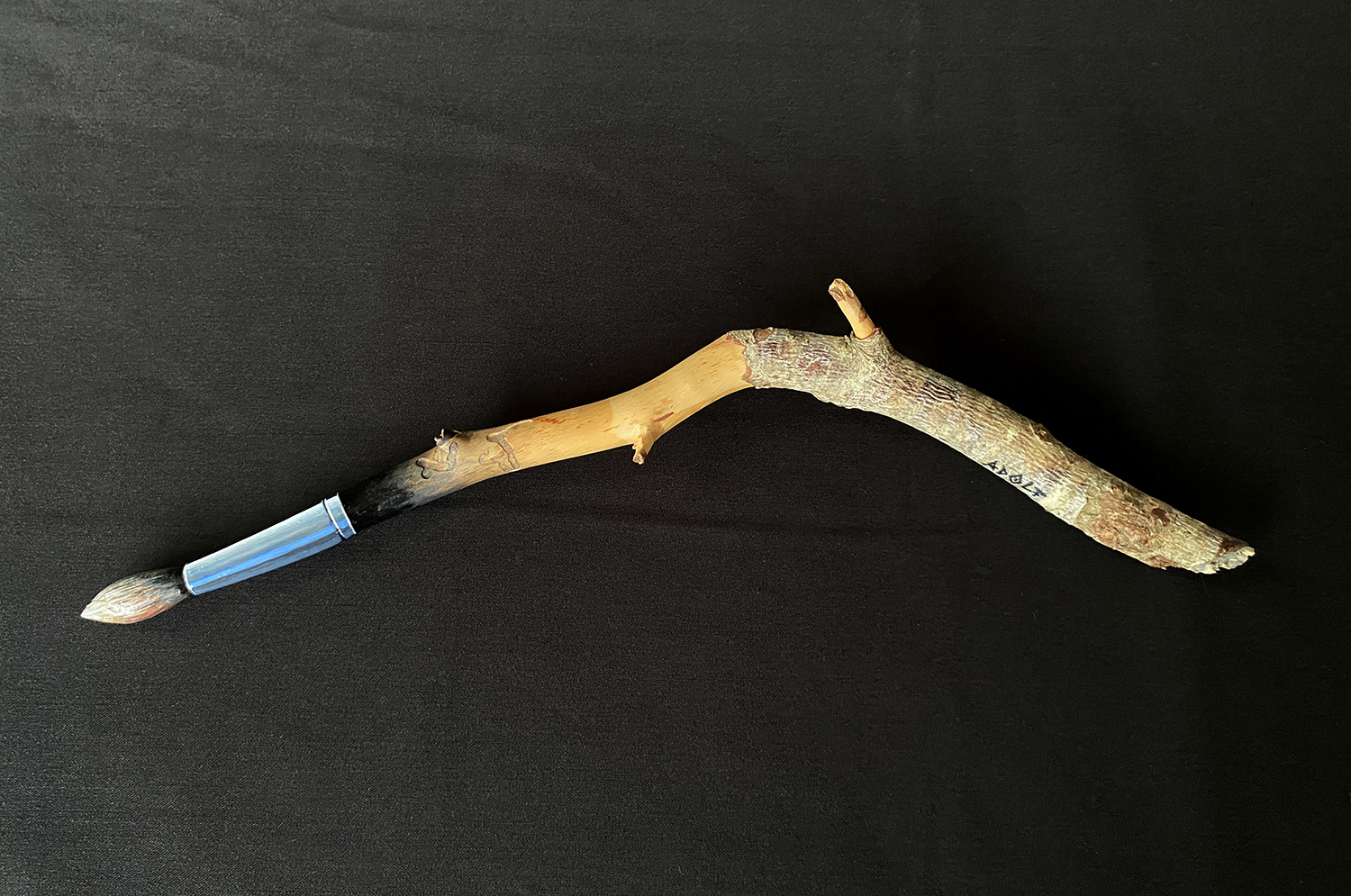 objecte počtic branqueta de pi pinzell
